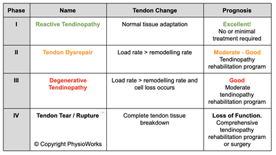 Achilles Tendinopathy Phases