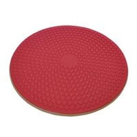 Discover the AllCare Wobble Board for effective balance training and rehabilitation exercises. Ideal for physiotherapy and home workouts.