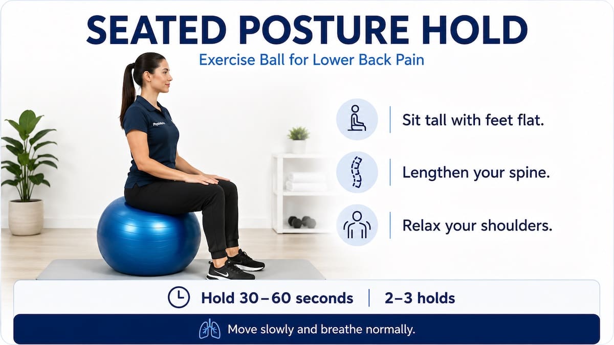 exercise ball for lower back pain seated posture hold